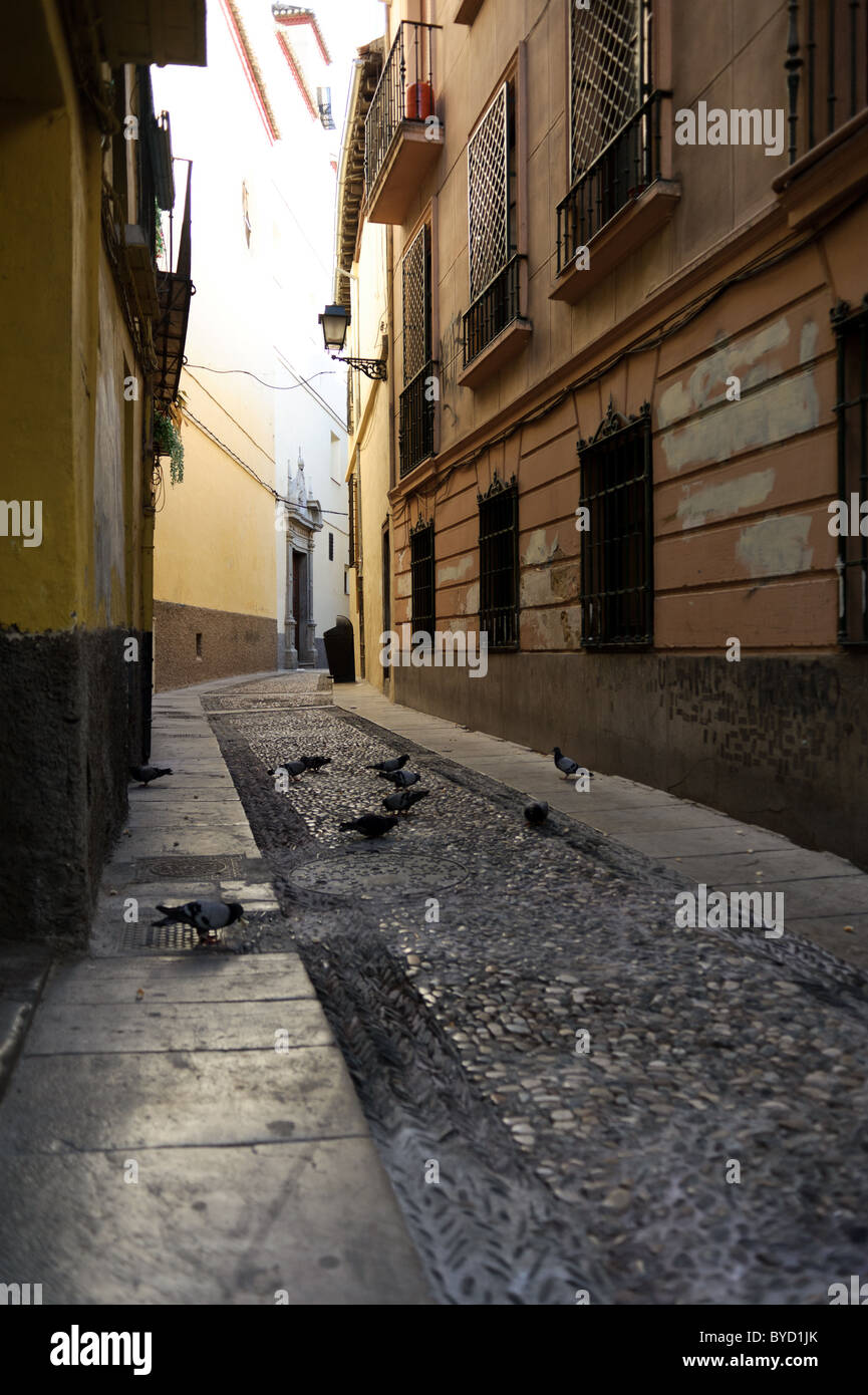 Tauben füttern in die leeren Straßen von Granada, Spanien Stockfoto