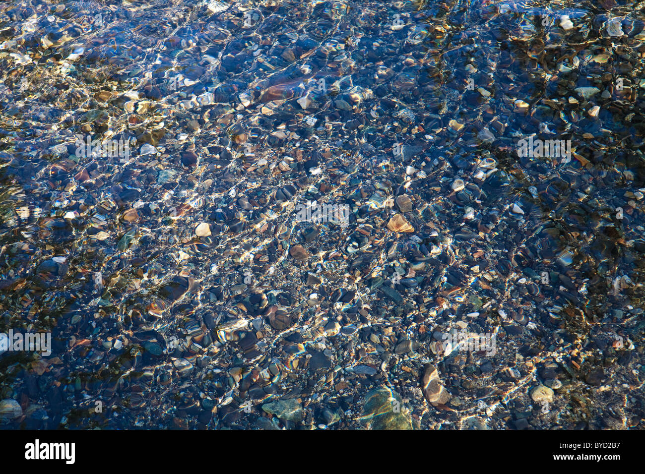 Fluss-Wasser-Szene mit Steinen und rot Lachs. Stockfoto