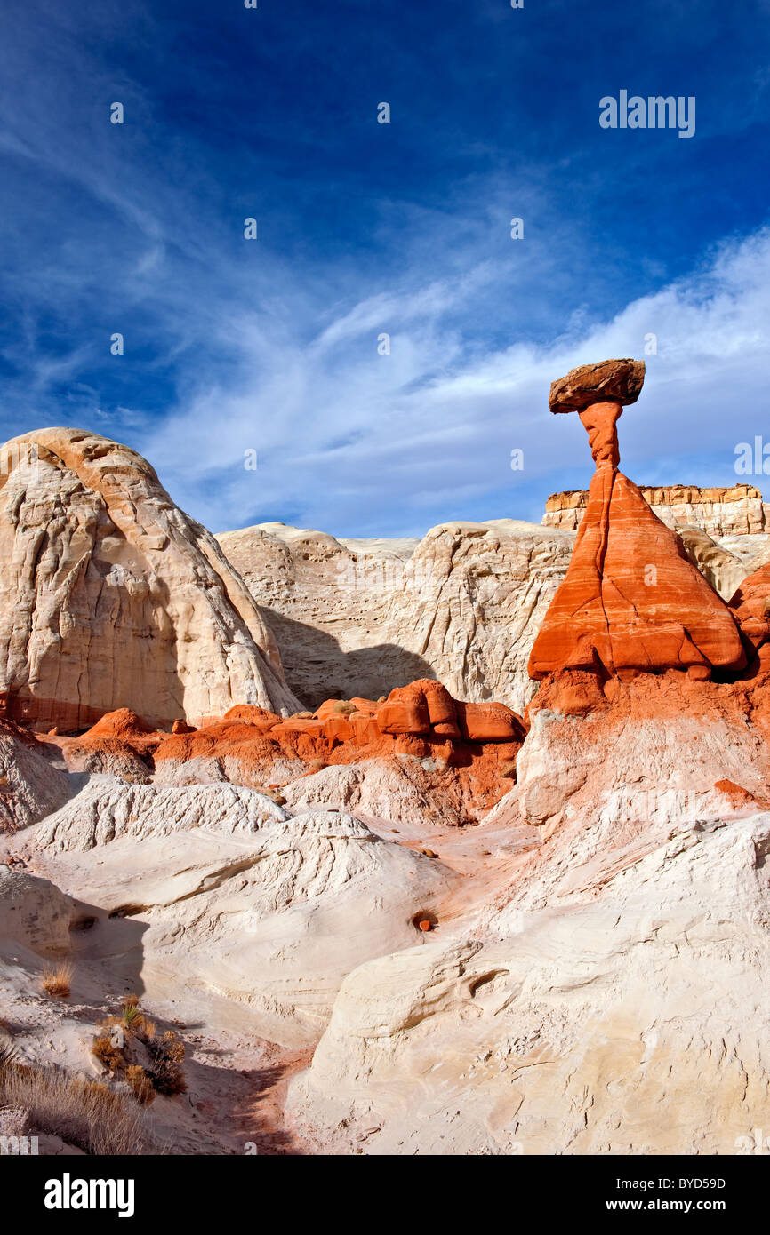 Sandstein-Formationen genannt "Fliegenpilze" unterstützt auf Felsen Spalten in Utahs Grand Staircase-Escalante National Monument. Stockfoto