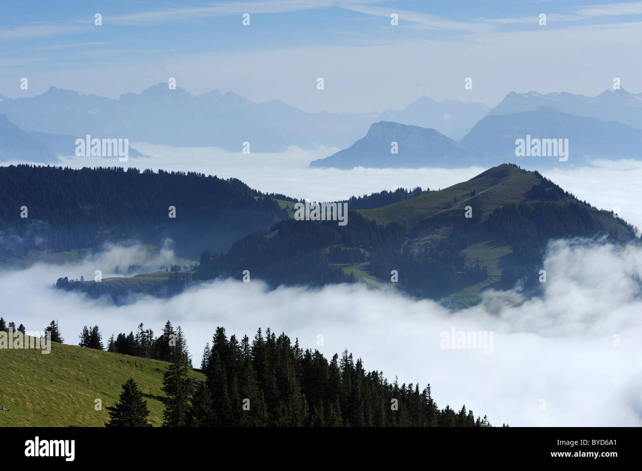 Herbst Meer Nebelmeer von Rigi Kulm Berg, Arth Goldau, Schwyz, Schweiz, Europa gesehen Stockfoto