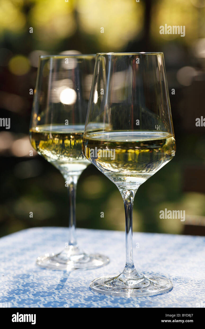 Weißer Wein im Glas Wein, Wachau, Waldviertel, Austria, Österreich, Europa zu senken Stockfoto