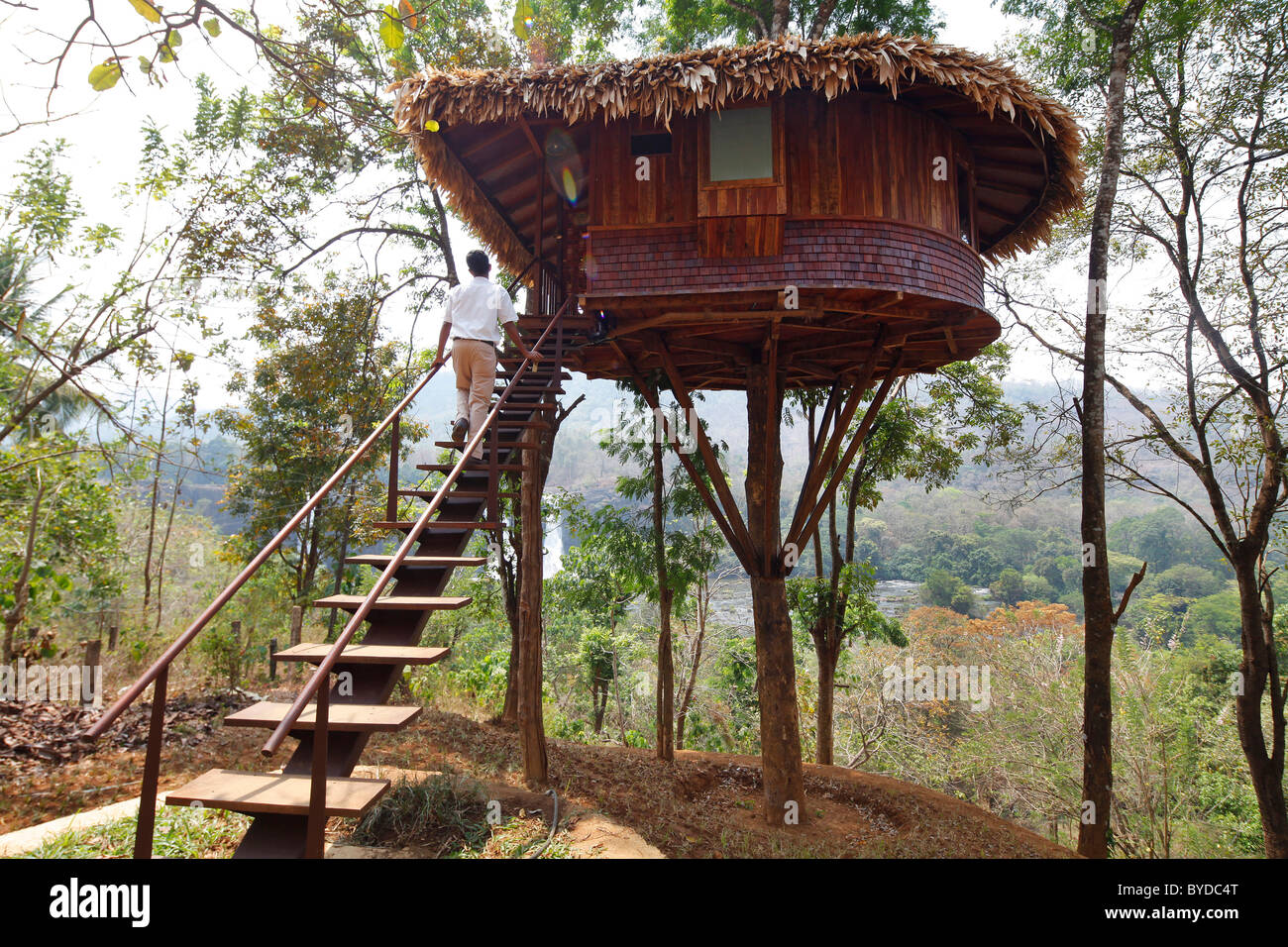 Baumhaus, Baumhaushotel in einem Regenwald, Kallana, Chalakudi, Kerala, Indien, Asien Stockfoto