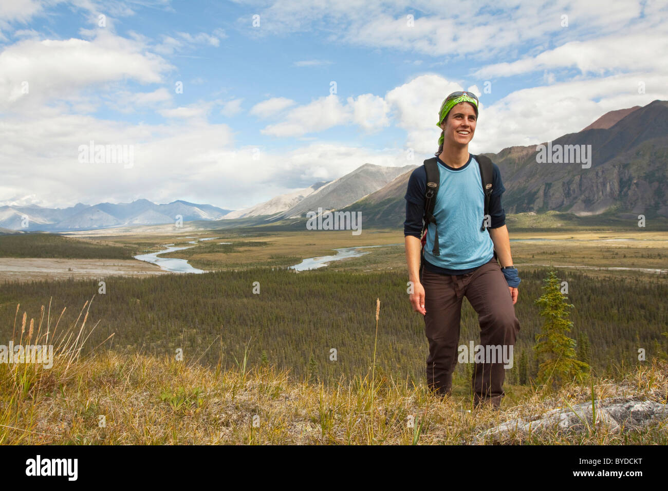 Junge Frau Wandern, arktischen Tundra, Wind River und Mackenzie Mountains hinter, Yukon Territorium, Kanada Stockfoto