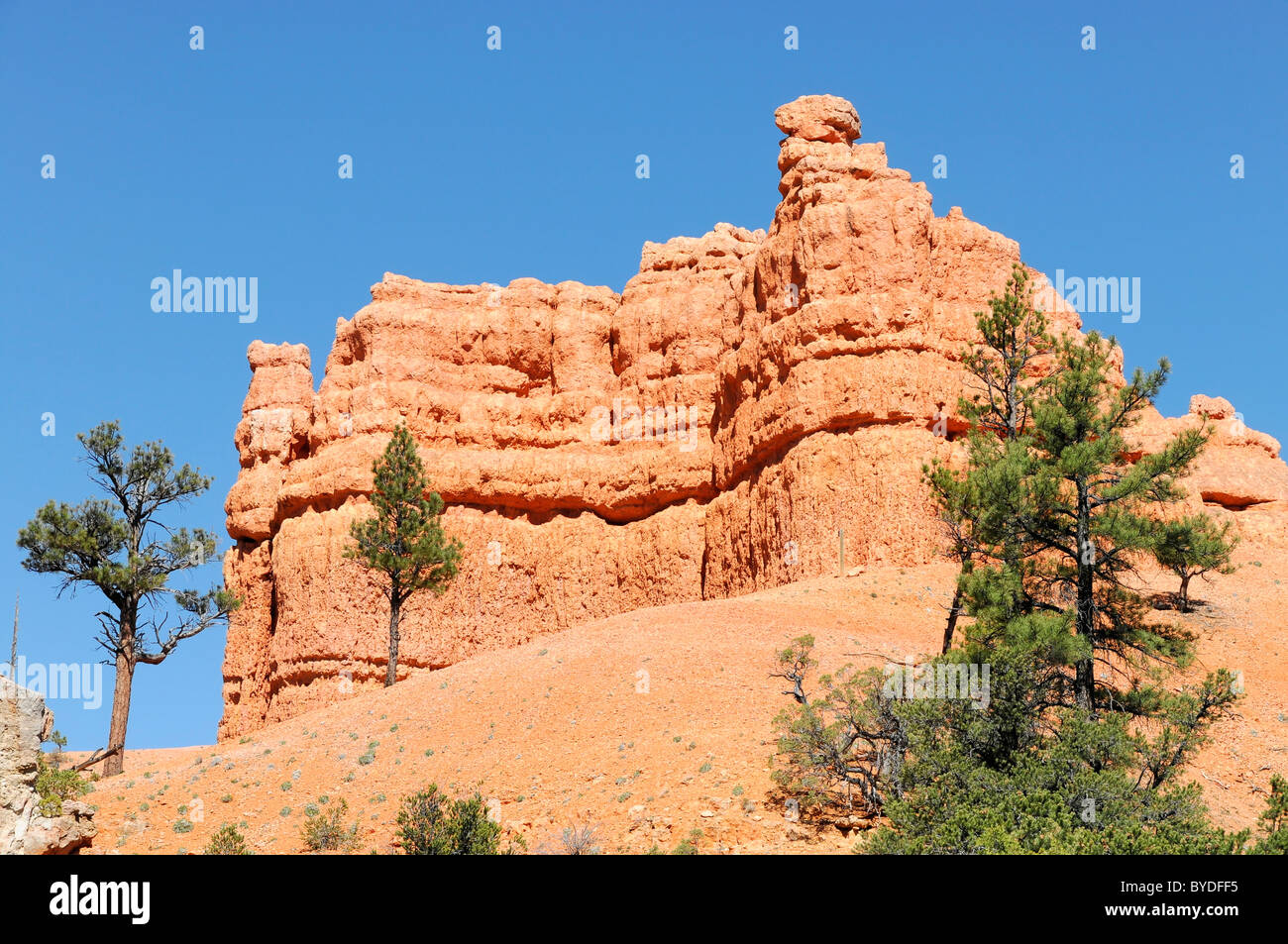 Rote Felsen in der Red Canyon, Hillsdale, Panguitch, Utah, USA, Nordamerika Stockfoto