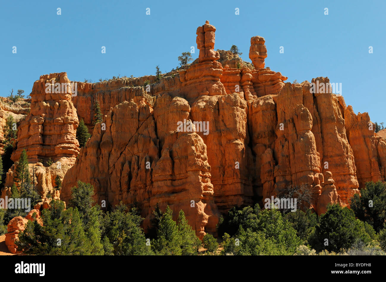 Rote Felsen in der Red Canyon, Hillsdale, Panguitch, Utah, USA, Nordamerika Stockfoto