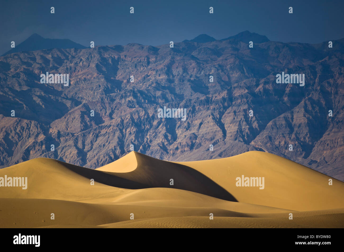 Sand Wellen in den Dünen der Mesquite Flats Sanddünen, Stovepipe Wells, Death Valley National Park, Kalifornien, USA Stockfoto