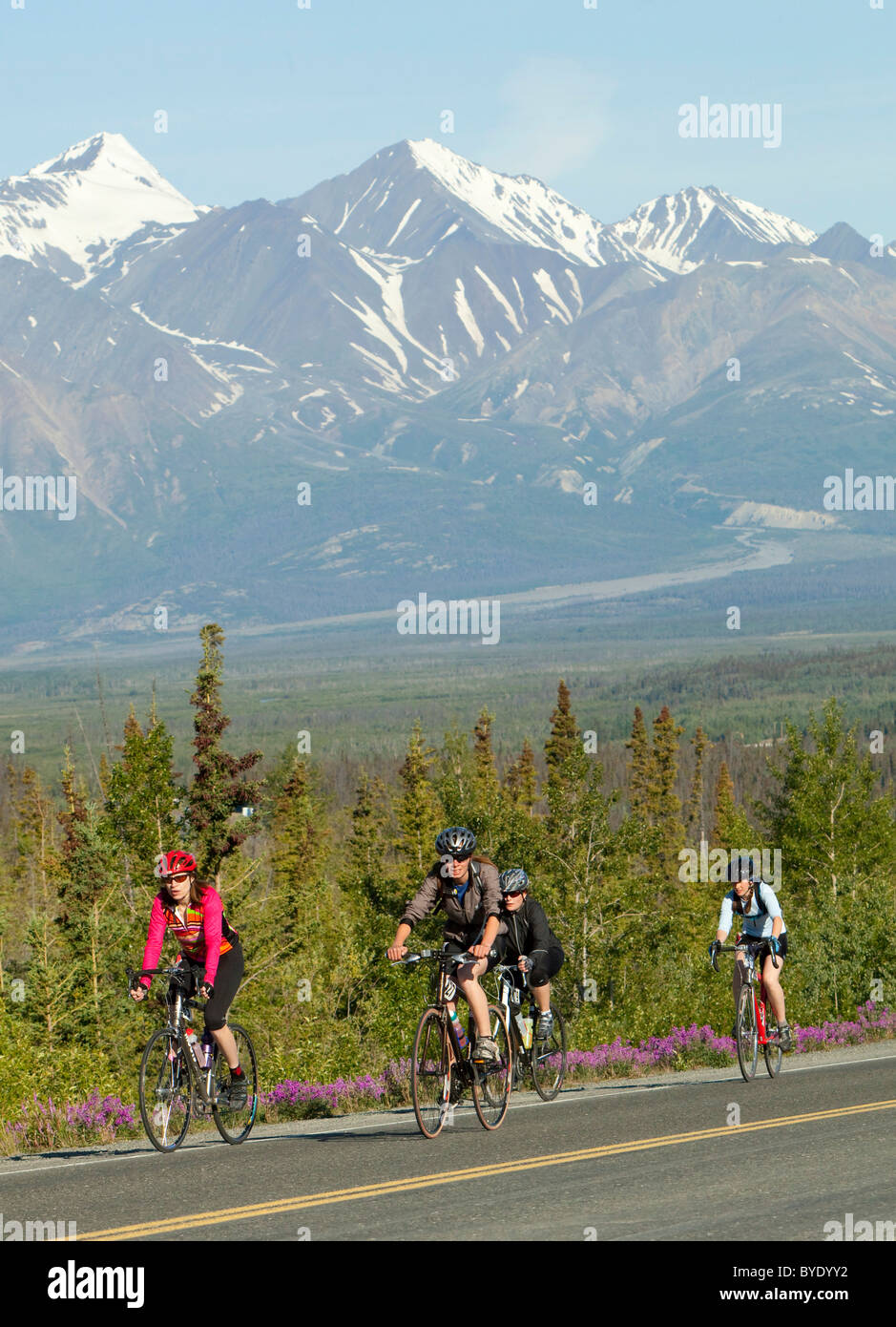Radfahrer mit dem Kluane Chilkat International Bike Relais, Radrennen von Haines Junction Yukon Territorium, Kanada nach Haines Stockfoto