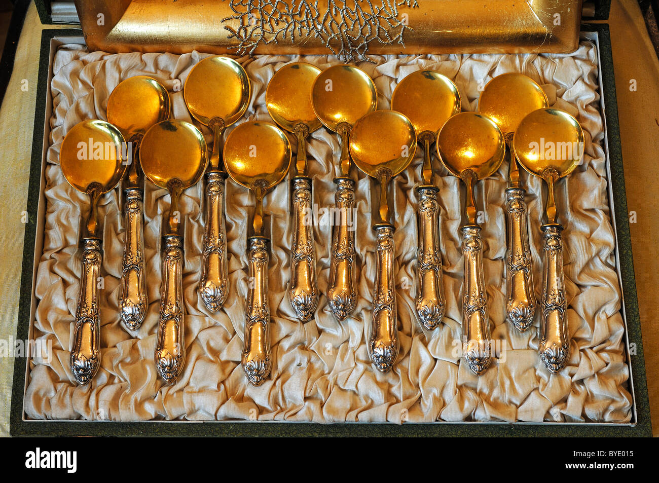 12 goldene Eis Löffel in einem Kasten, um 1900, Italien, Villa & Ambiente, Nürnberg, Middle Franconia, Bayern, Deutschland, Europa Stockfoto