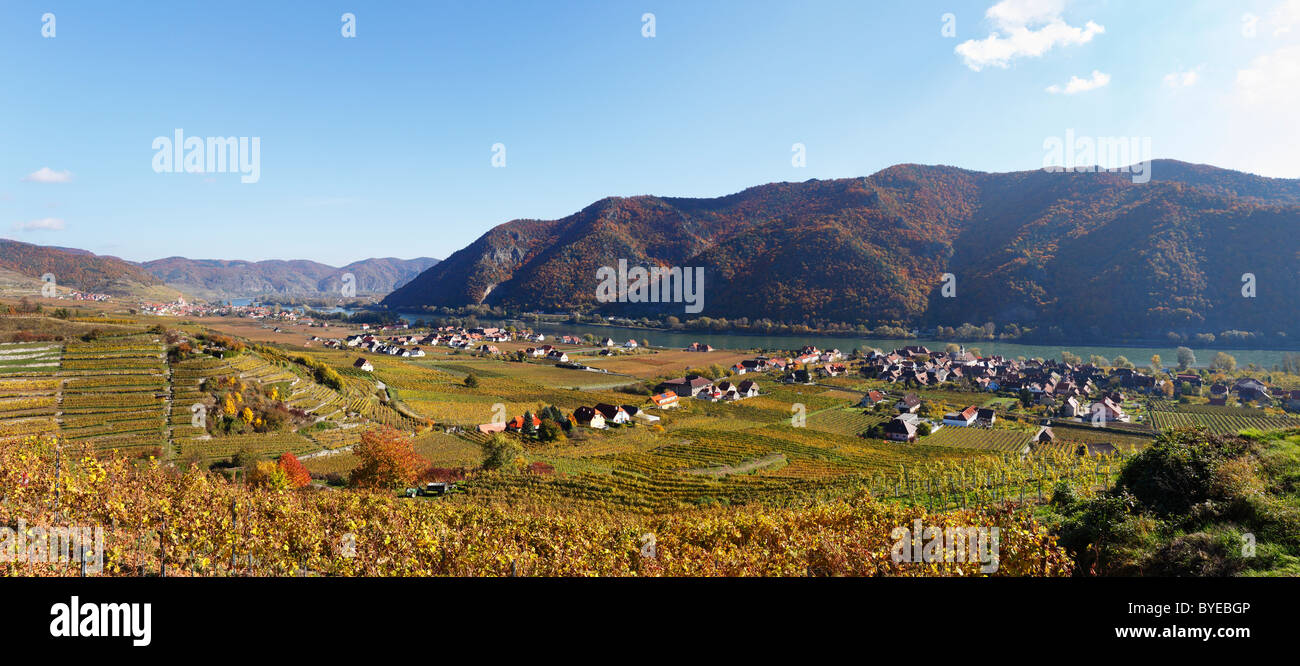 Städte von Weissenkirchen in der Wachau, Joching und Woesendorf, Donau, herbstliche Kulturlandschaft mit Weinbergen Stockfoto