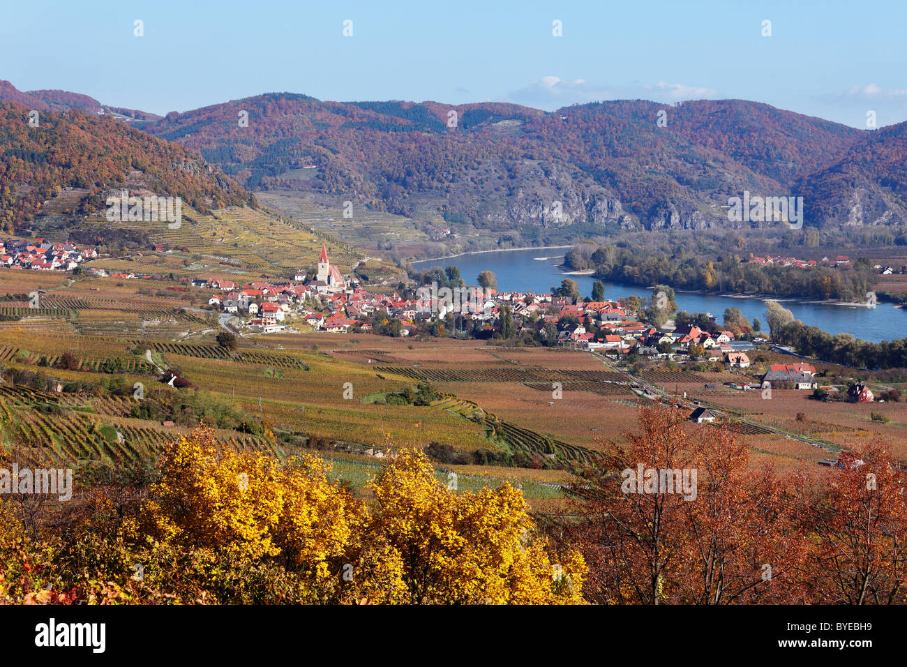 Stadt von Weissenkirchen in der Wachau, Donau, herbstliche kultivierten Landschaft mit Weinbergen, Region Waldviertel, Niederösterreich Stockfoto