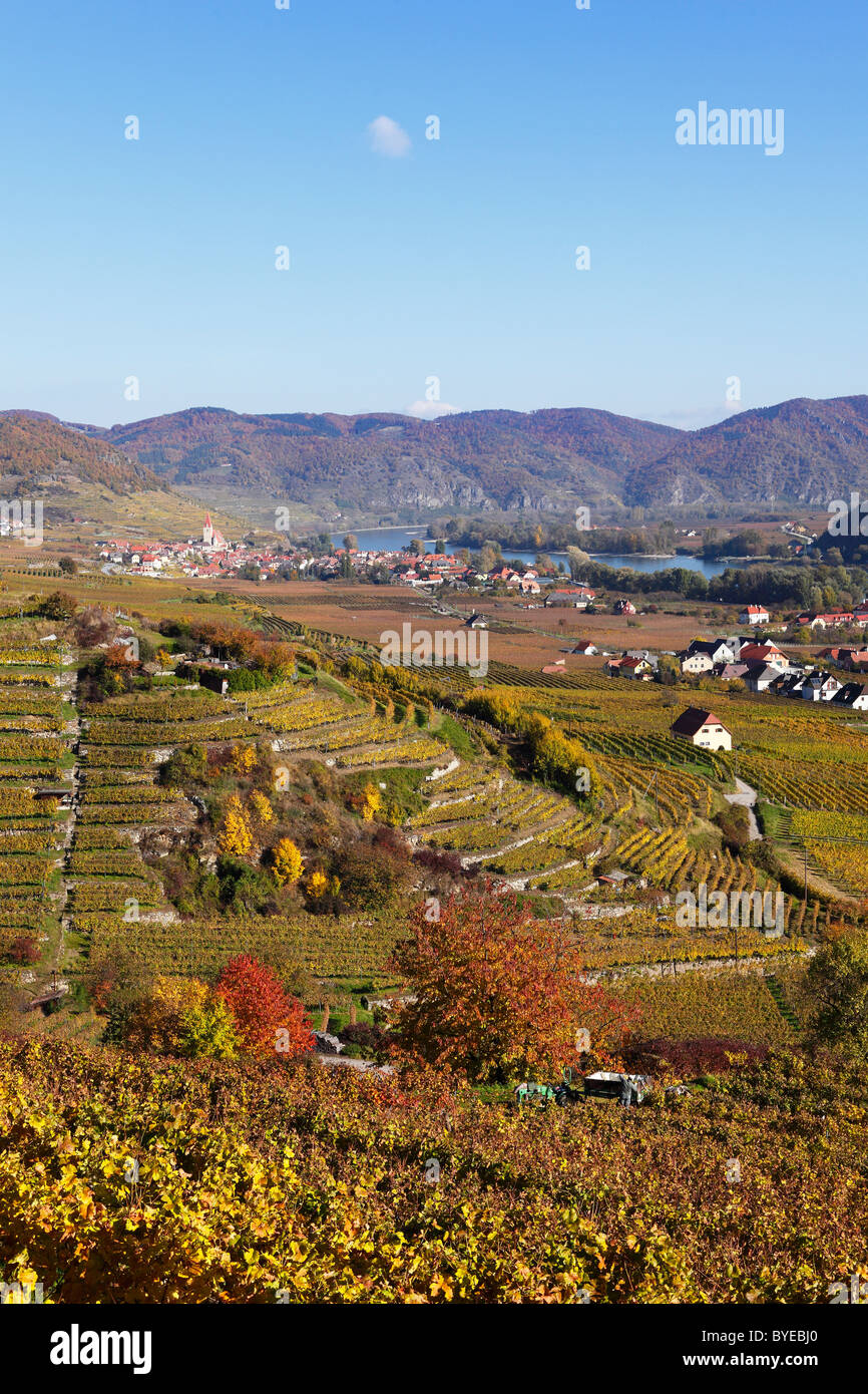 Stadt von Weissenkirchen in der Wachau, Donau, herbstliche kultivierten Landschaft mit Weinbergen, Region Waldviertel, Niederösterreich Stockfoto