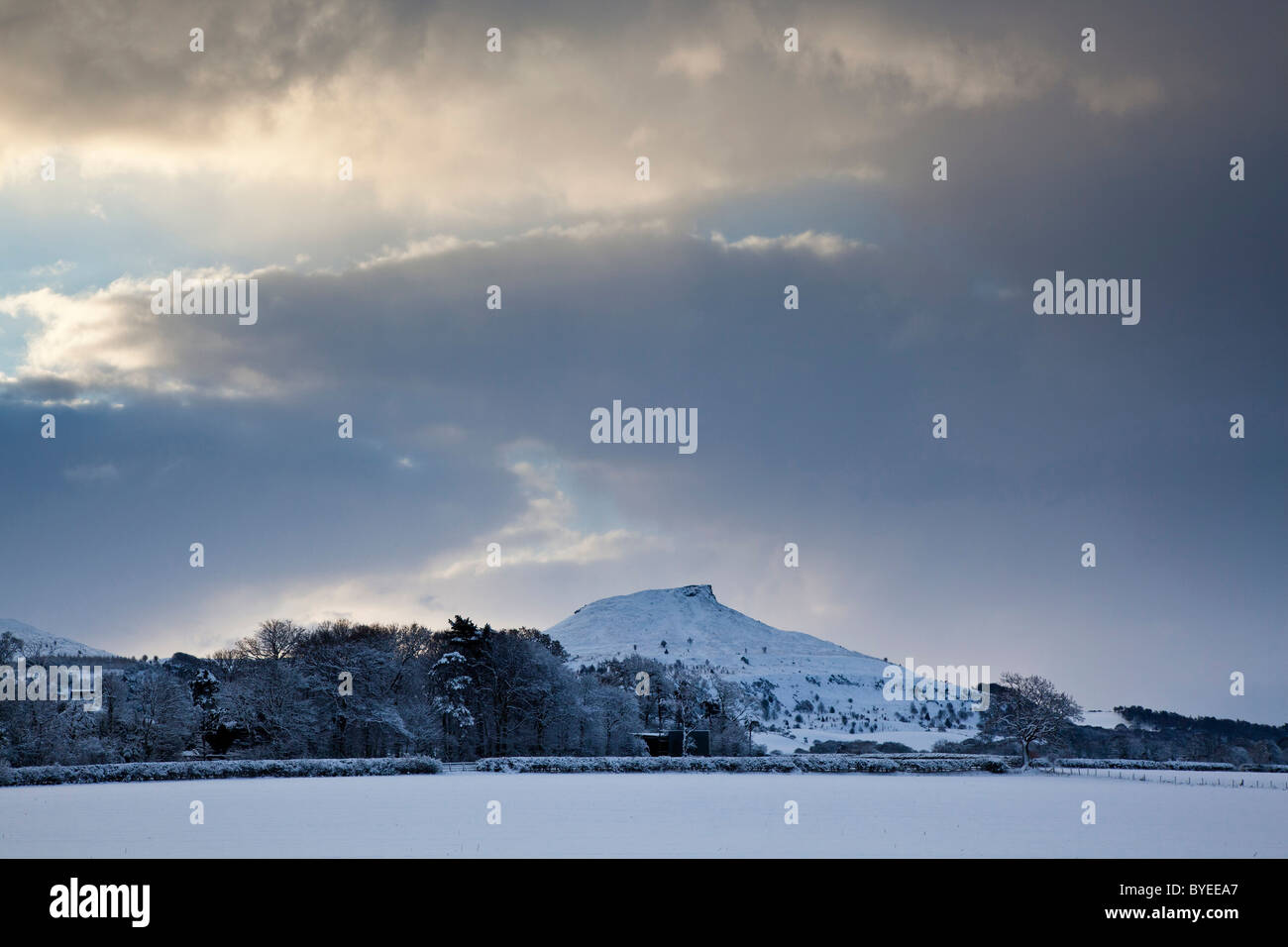 Nähe Topping aus Pinchinthorpe im winter Stockfoto
