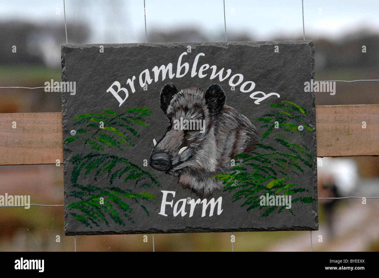 Bramblewood Eber Bauernhof Zeichen, Holsworthy, Devon wo Tierschützer Herde in die Natur freigesetzt Stockfoto