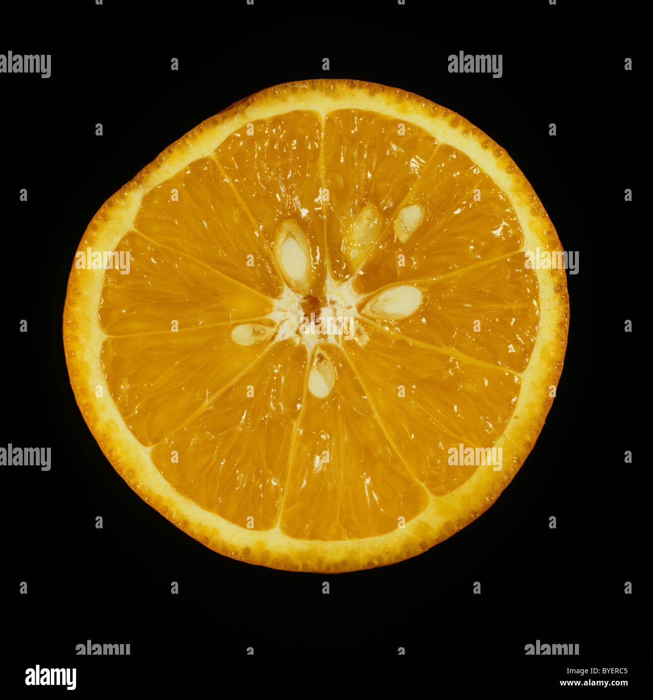 Schnittbereich der Zitrusfrucht orange Sorte Succari Stockfoto