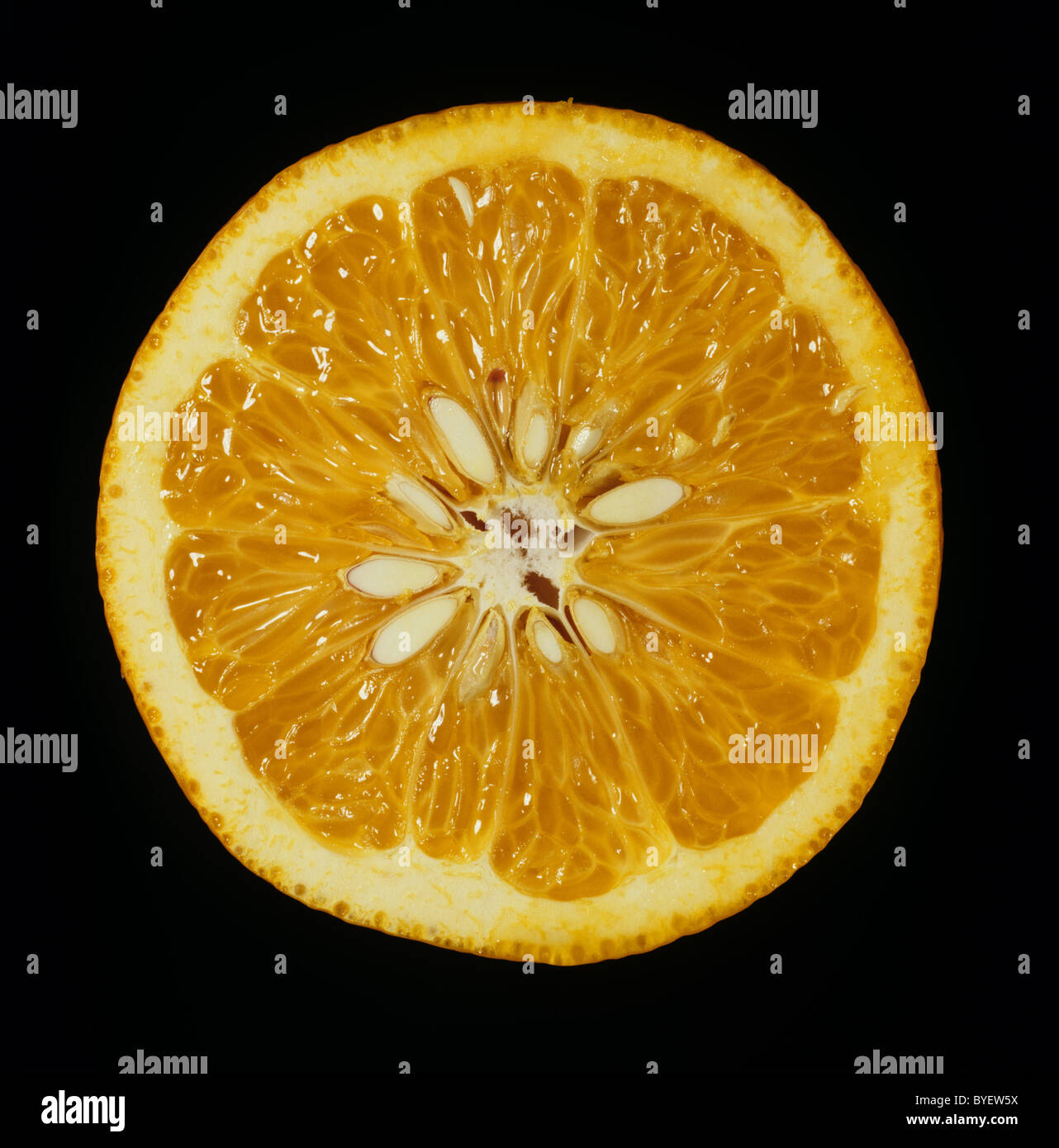 Schnittbereich der Zitrusfrucht orange verschiedene Hassaku Stockfoto
