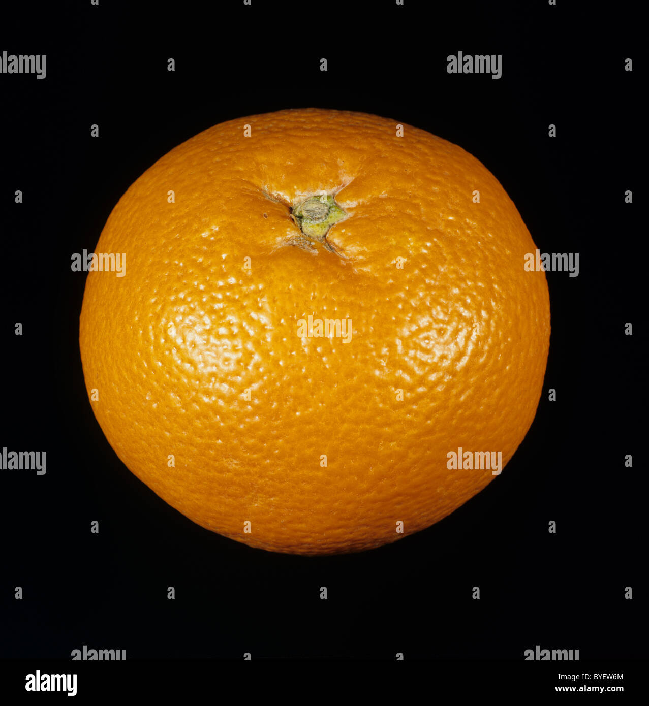 Gesamten Zitrusfrucht orange Sorte Hassaku Stockfoto