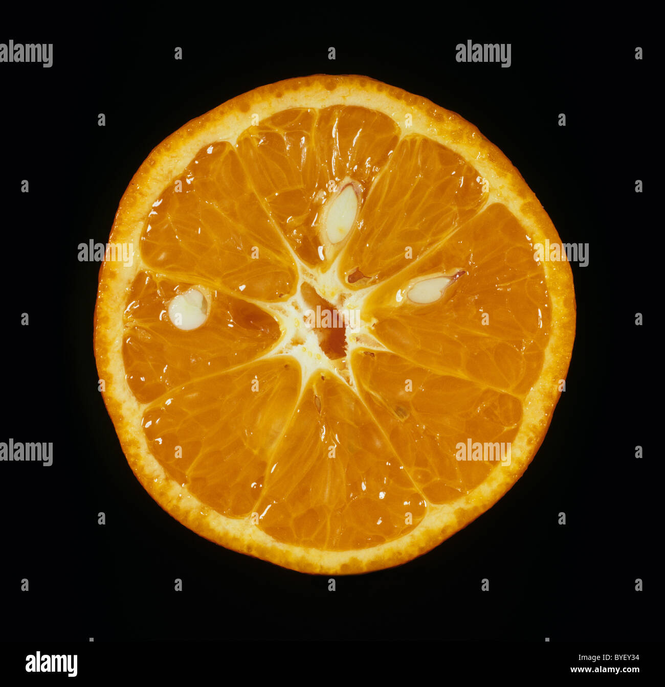 Schnittfläche verschiedener Zitrusfrüchte Mandarin Fremont Stockfoto