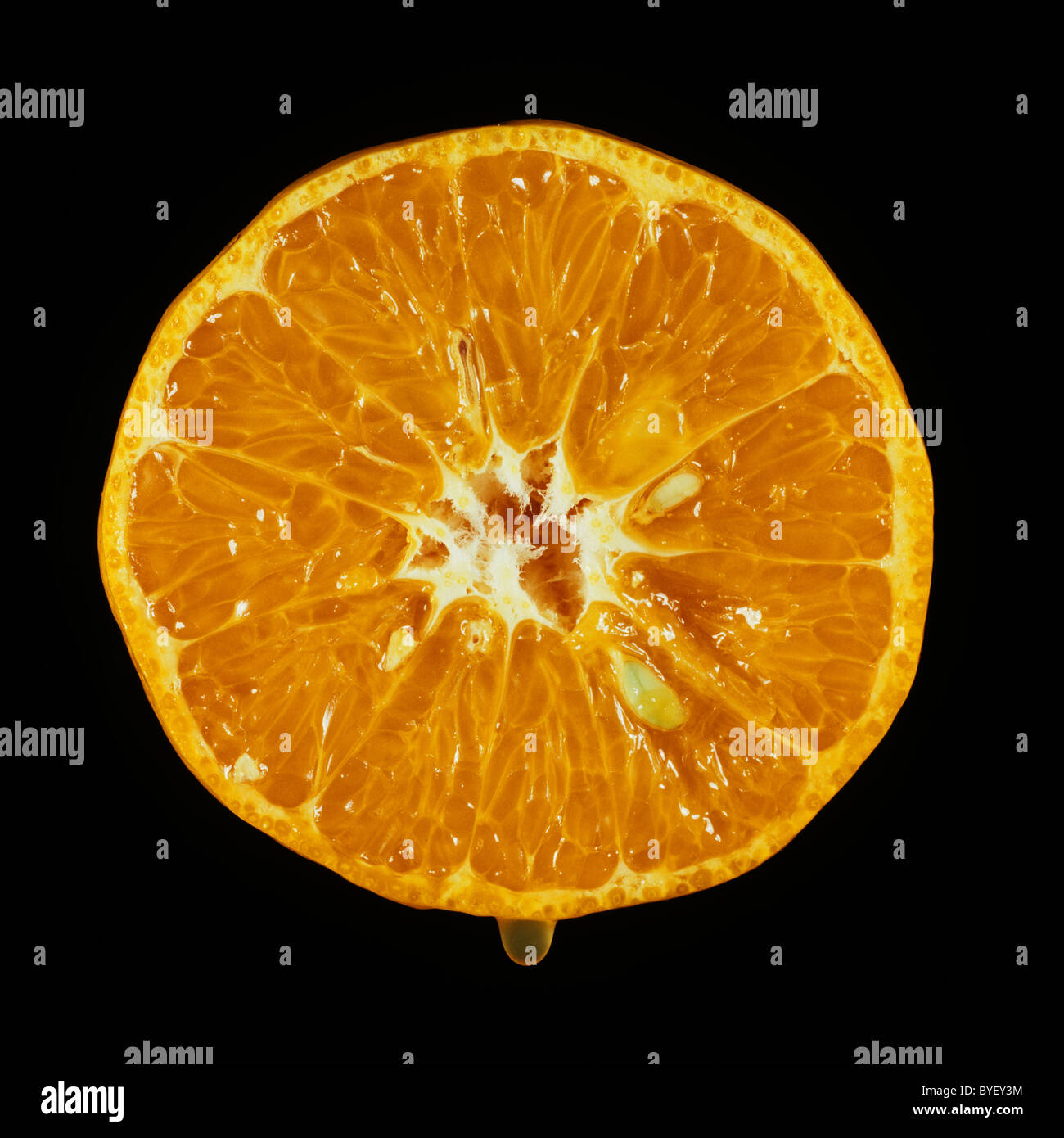 Schnittfläche verschiedener Zitrusfrüchte Mandarin Encore Stockfoto