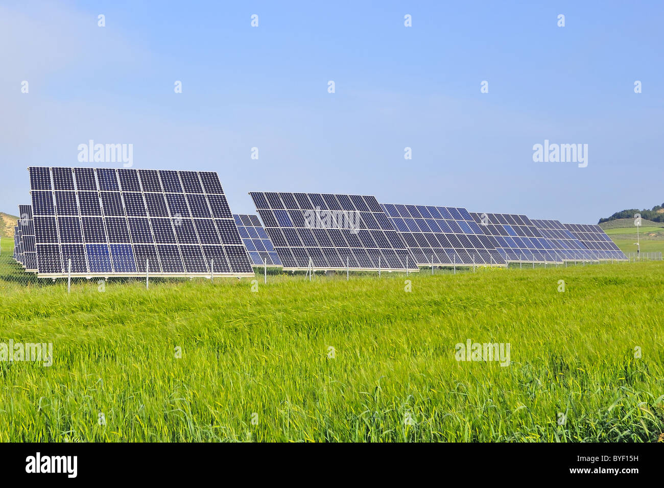Silizium solar Energie-Batterien auf der grünen Wiese Stockfoto
