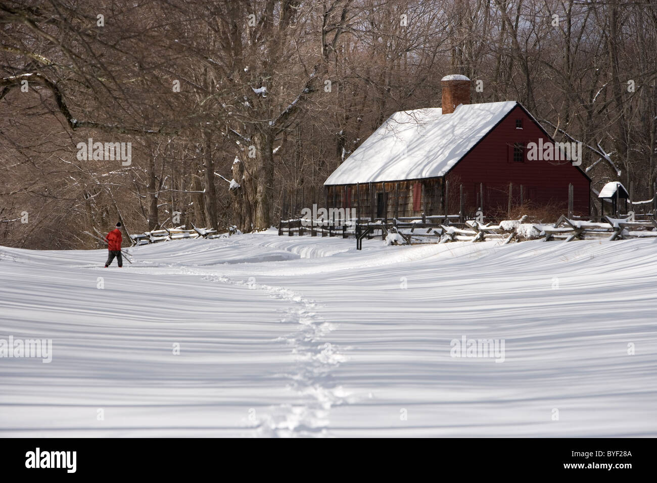 Ein Mann, ski-Langlauf in der Nähe von Wick Haus, Morristown, NJ am Jockey Hollow National Historic Park Stockfoto