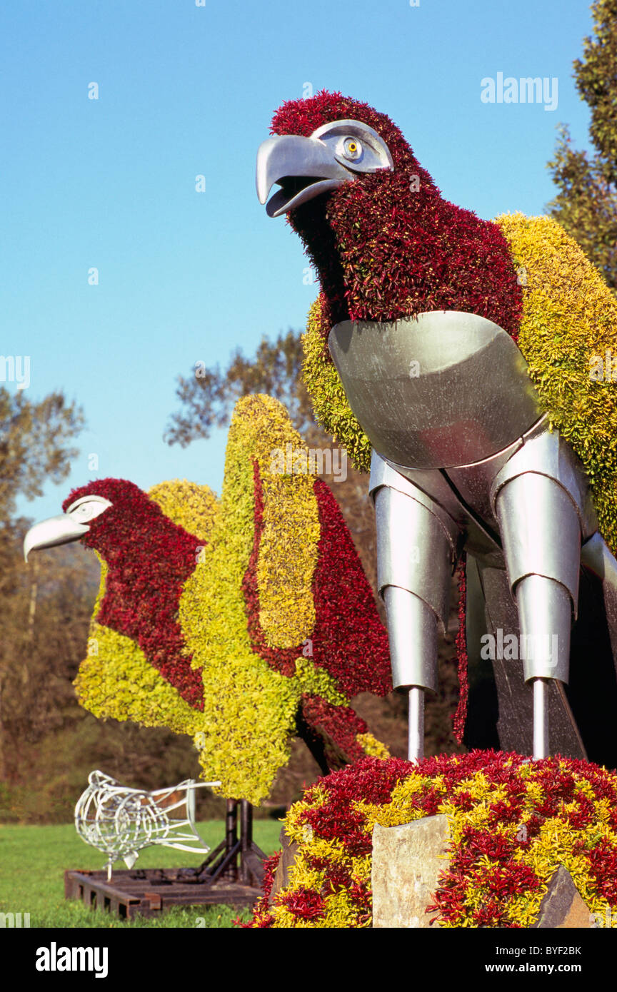 Formschnitt Eco-Skulptur, Burnaby, BC, Britisch-Kolumbien, Kanada - Kunst im öffentlichen Raum, Urban Artwork, lebende Pflanzen in Adler Vogel-Skulpturen Stockfoto