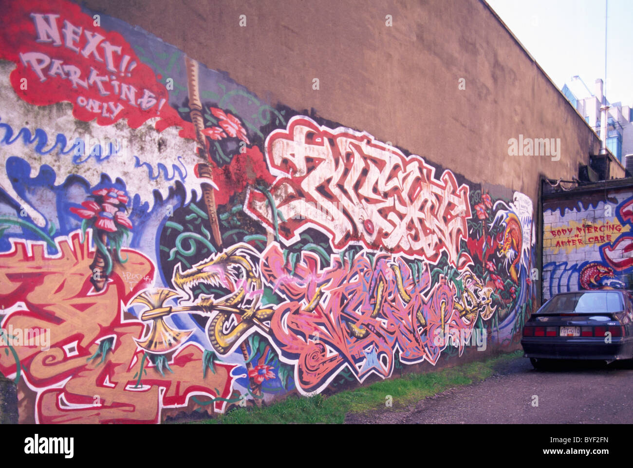 Graffiti-Kunst gemalt auf äußere Wand der Nebengebäude auf der Rückseite Lane Stockfoto