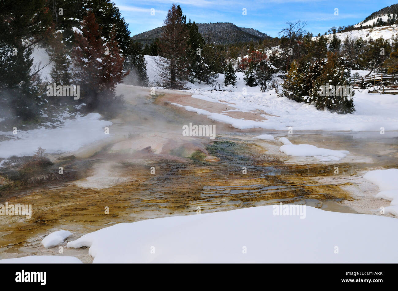 Travertin Ablagerungen aus einer heißen Quelle. Mammoth Hot Springs, Yellowstone-Nationalpark, Wyoming, USA. Stockfoto