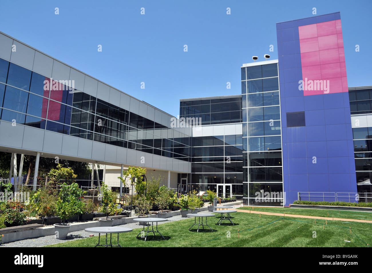 Das Googleplex - Googles Silicon Valley corporate HQ in Mountain View, Kalifornien Stockfoto