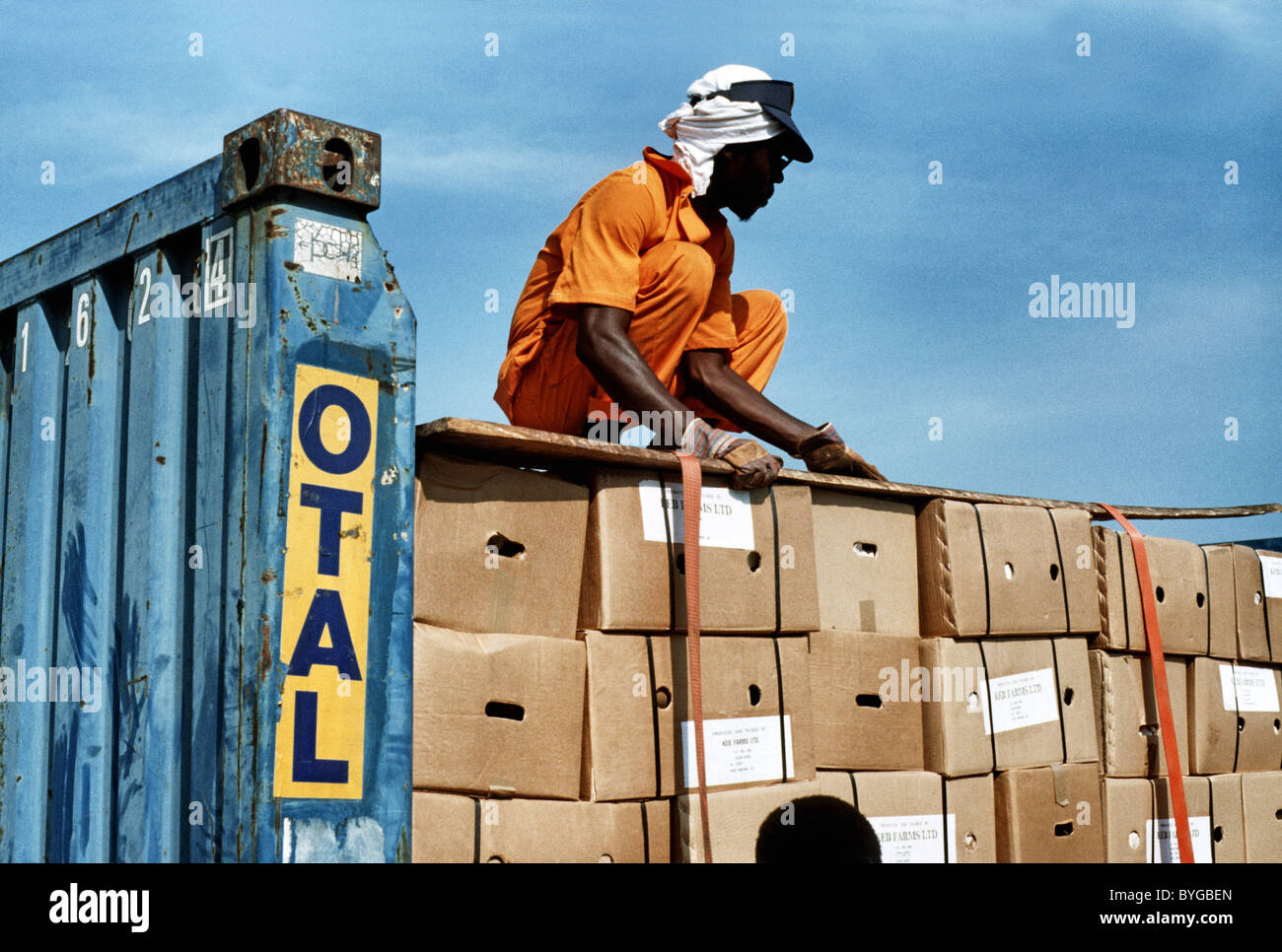 Hafenarbeiter Verpackung einen Flachbett-Container im Hafen von Tema, Ghana, Westafrika. Stockfoto