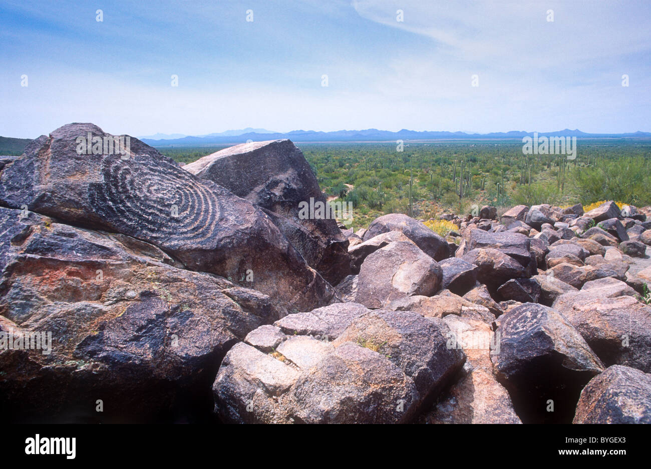 Petroglyphen in Signal Hill, Saguaro National Park, Arizona, USA Stockfoto