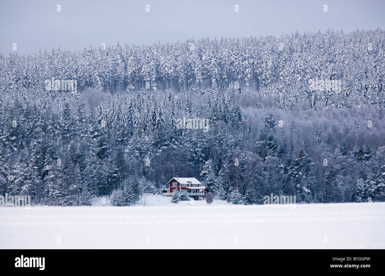 Schneebedeckten Wald und Haus im winter Stockfoto