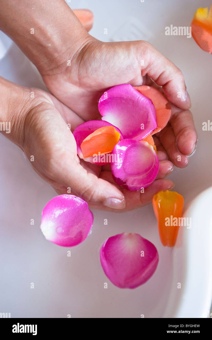 Nahaufnahme von Händen mit Rosenblüten im spa Stockfoto