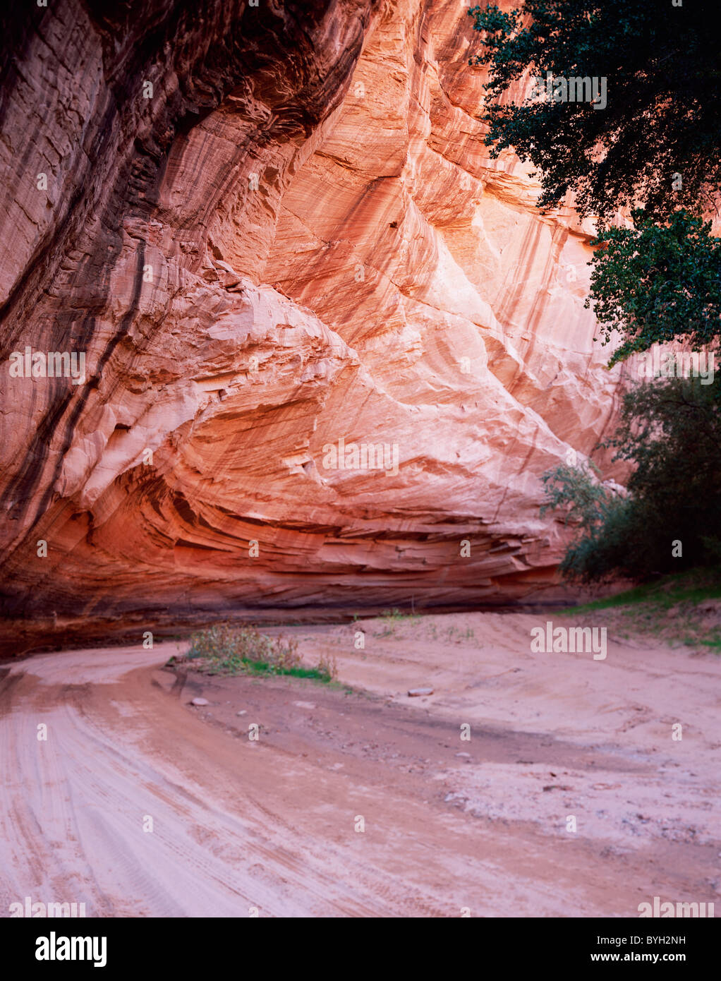 Polierte Canyonwand im Canyon De Chelly. Stockfoto