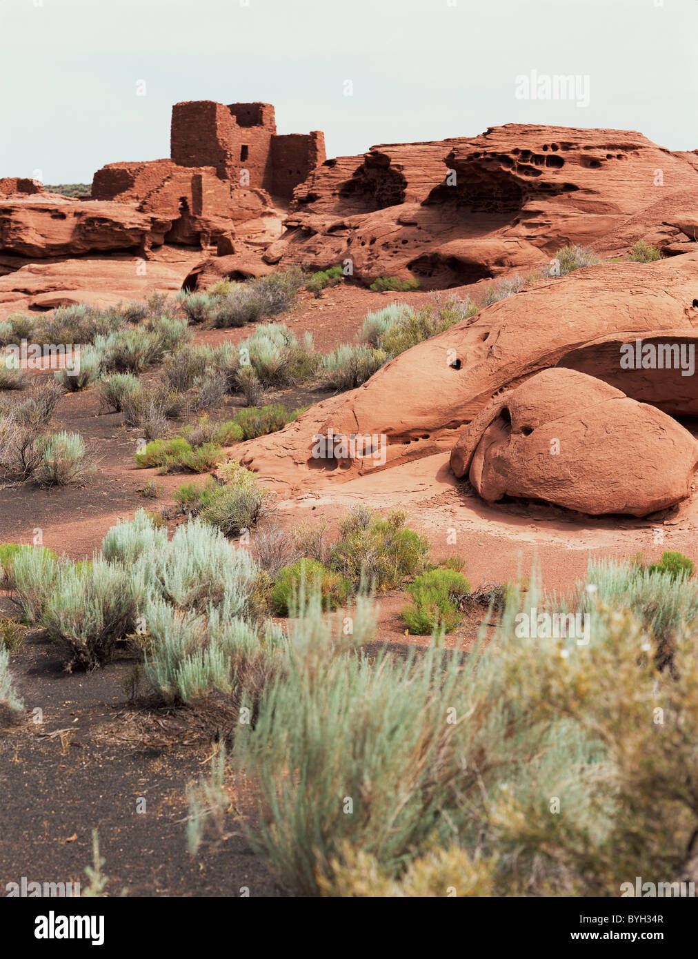 Alten Pueblo Komplex im nordöstlichen Arizona. Stockfoto
