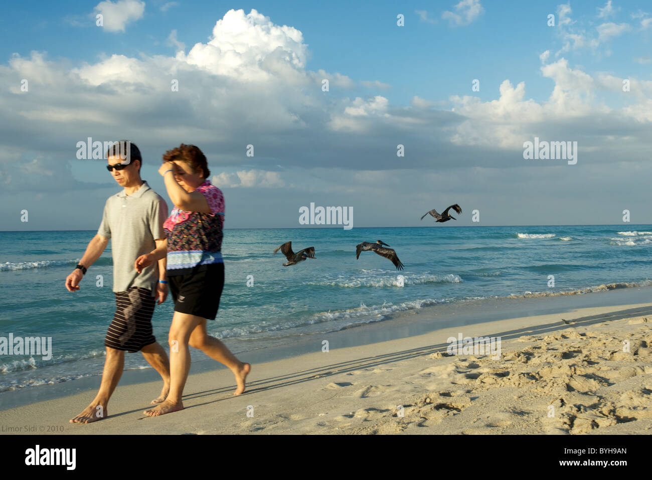 Fuß in eine erstaunliche Türkis schöner Strand mit Pelikan Sünde Fahrweg, Kuba Stockfoto
