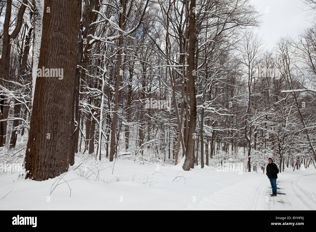 Einweichen in der Landschaft, hohlen Jockey National Historical Park in Morristown, New Jersey Stockfoto