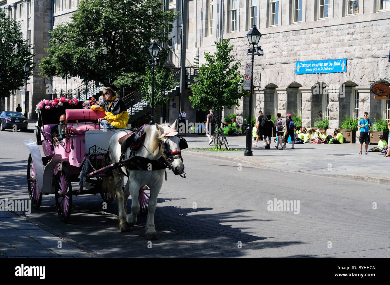 Pferdekutsche Kutsche In Vieux Montreal alten Hafen für Touristen Stockfoto