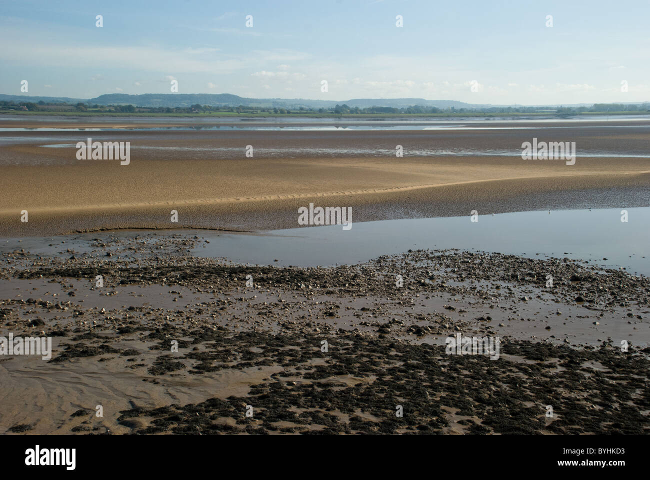 Fluß Severn in Gloucestershire bei Ebbe Stockfoto