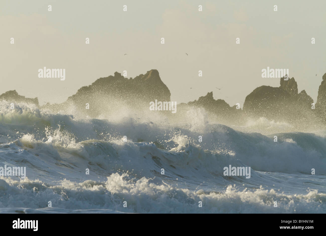 Welle mit Schaum Stockfoto