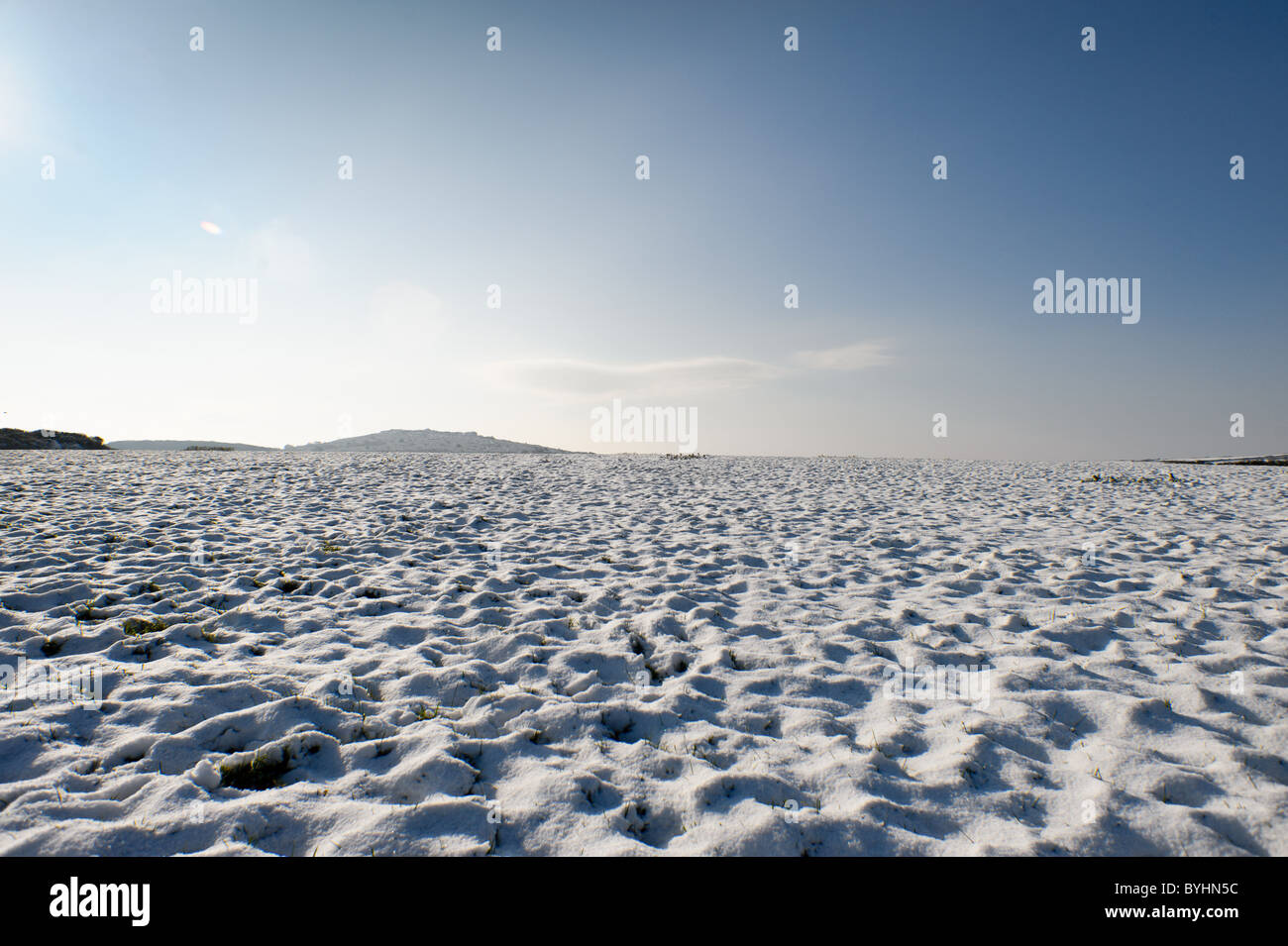 Unter einem blauen Himmel & helle Sonne deckt eine weiße Schneedecke Felder auf einem Bauernhof zwischen Carbis Bay & trinken in West Cornwall Stockfoto