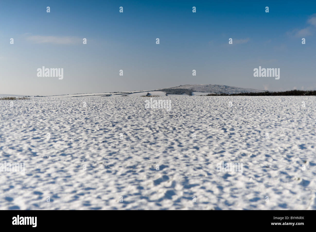 Unter einem blauen Himmel & helle Sonne deckt eine weiße Schneedecke Felder auf einem Bauernhof zwischen Carbis Bay & trinken in West Cornwall Stockfoto