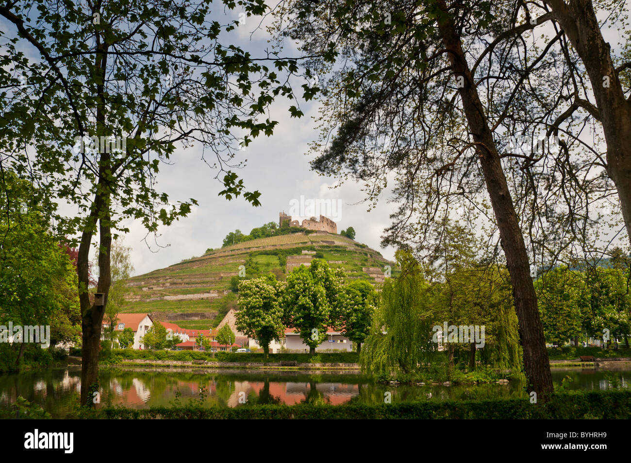 Ruine einer Burg über Staufen, Burgruine Oberhalb von Staufen, Markgräflerland Stockfoto