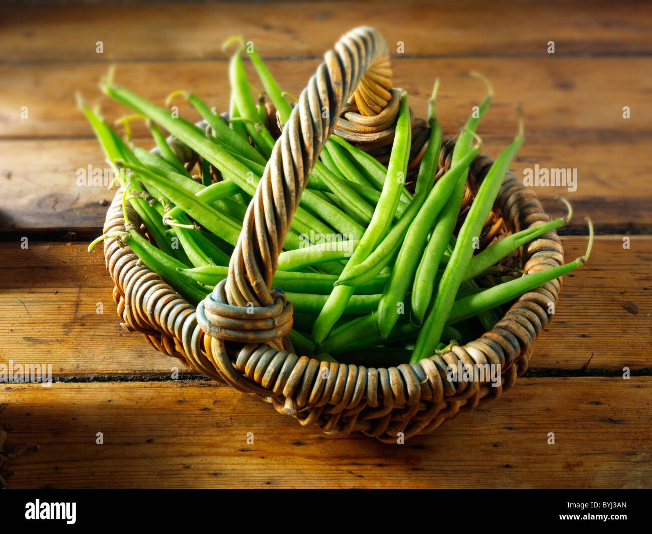 Frisch gepflückte grüne Bohnen, ungekocht und bereit zur Zubereitung, bekannt als feine Bohnen, Haricot vert, französisch Bohnen. Stockfoto