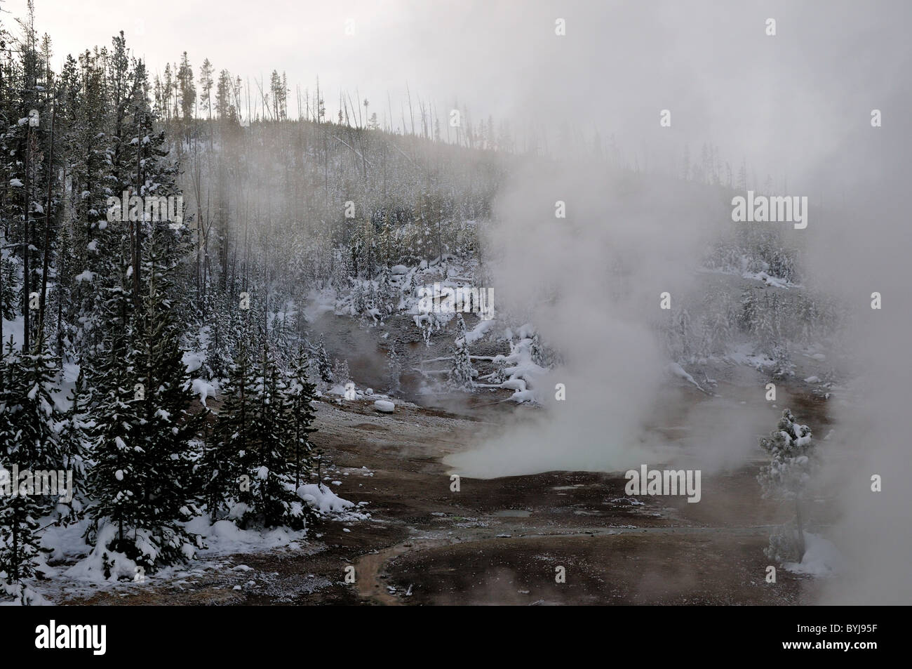 Dampf steigt aus einer heißen Quelle. Yellowstone-Nationalpark, Wyoming, USA. Stockfoto