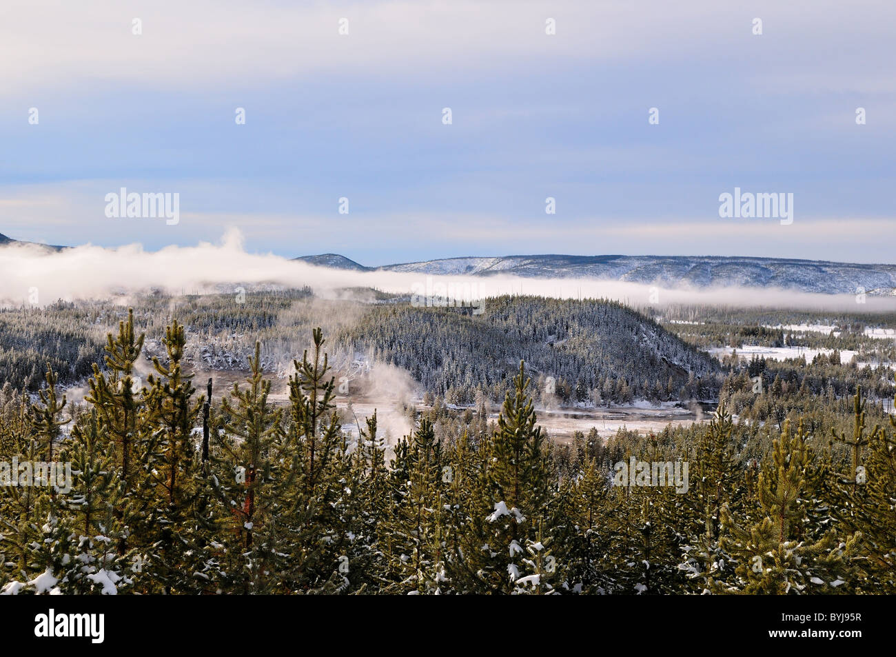 Blick auf das Norris Geyser Basin. Yellowstone-Nationalpark, Wyoming, USA. Stockfoto