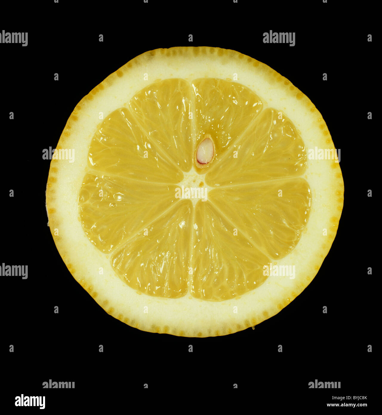 Schnittbereich von verschiedensten Zitrusfrüchte Zitronen Verna Stockfoto