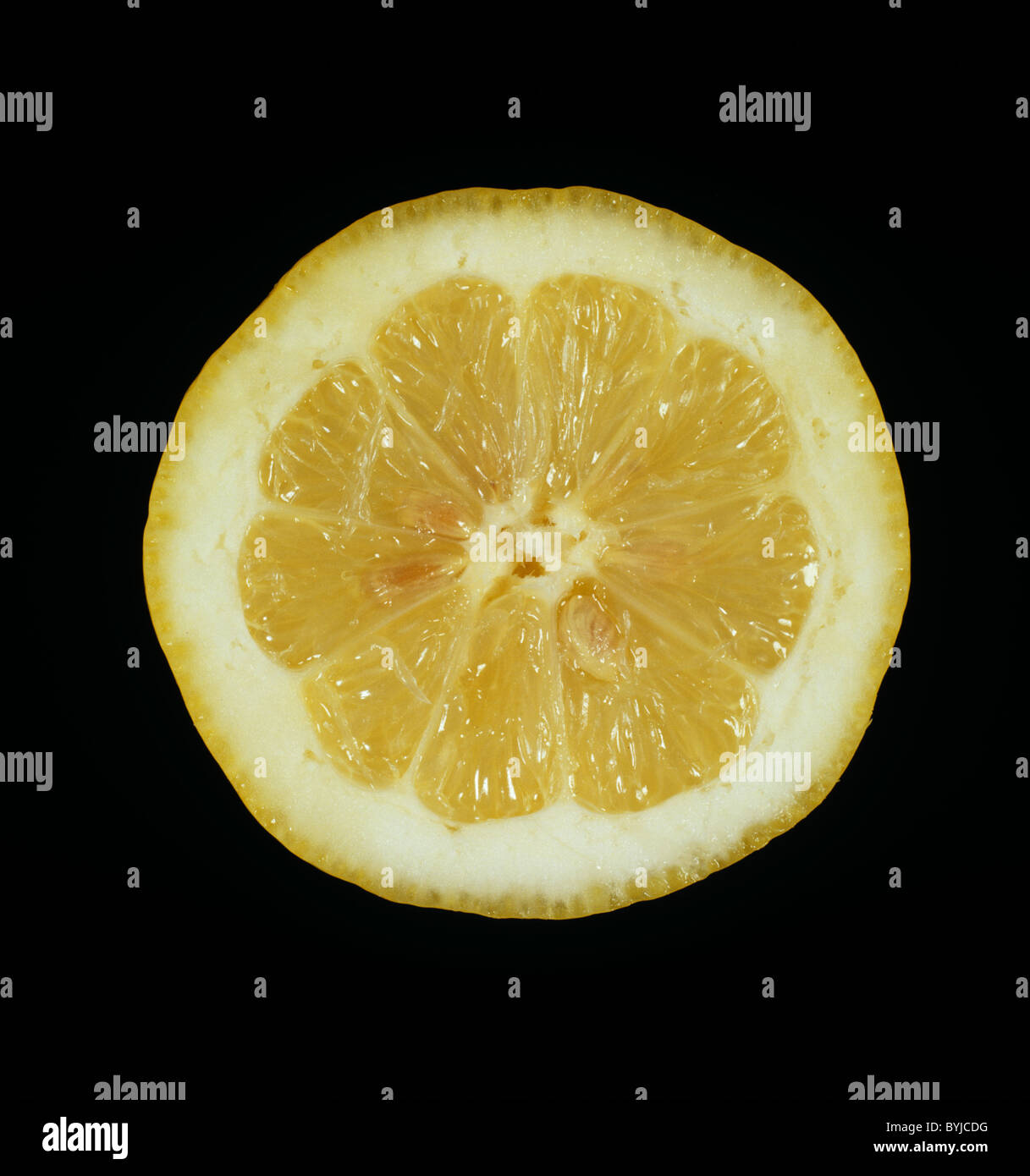 Schnittbereich von verschiedensten Zitrusfrüchte Zitronen Femminello Stockfoto