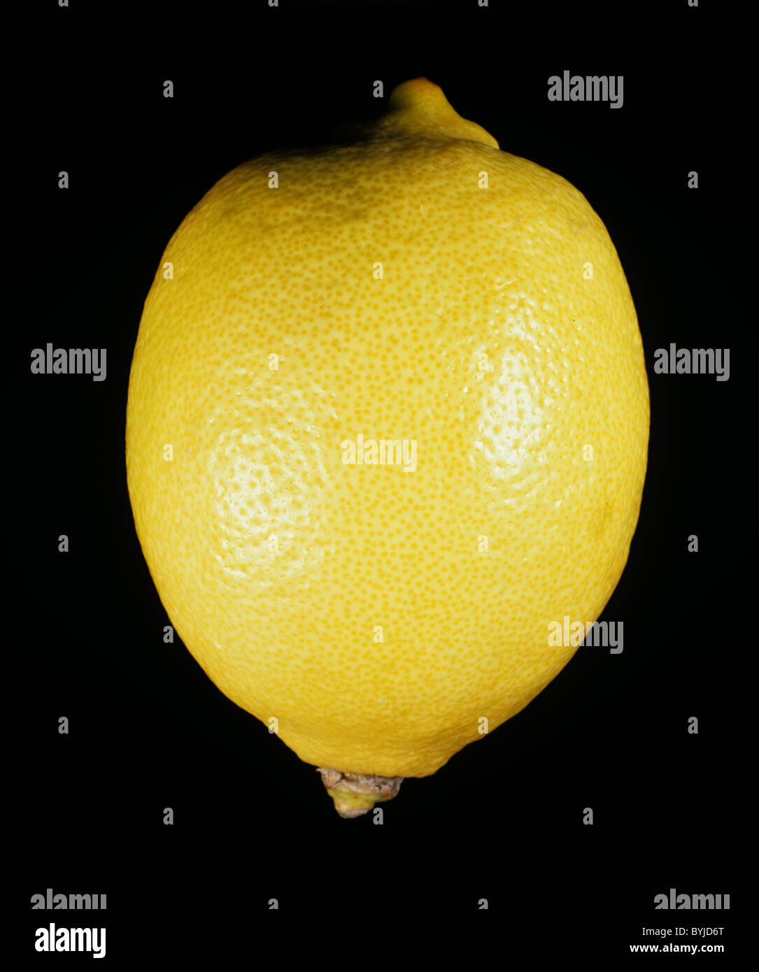 Ganze Zitrone Zitrusfrüchte Vielfalt Interdonata Stockfoto