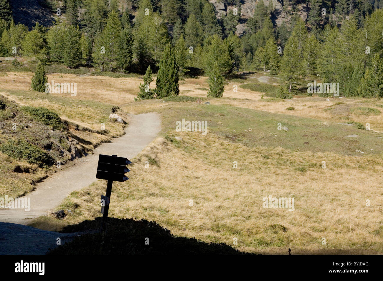 Fußweg, Radweg, sind leicht zu finden mit dem Trail Zeichen in der Alpenregion Südtirol, Val Martello, Italien Stockfoto