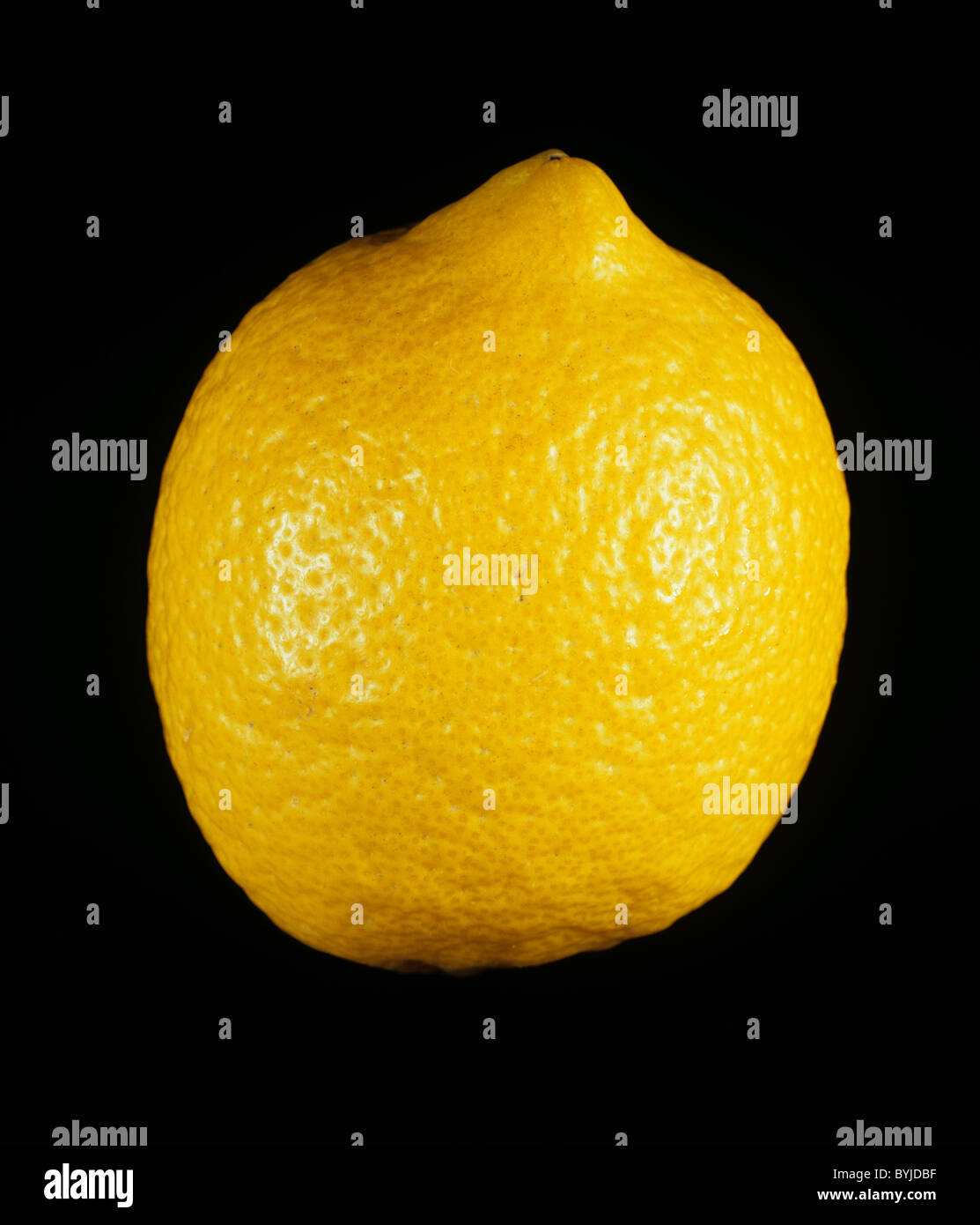 Ganze Zitrone Zitrusfrüchte verschiedene Lamas Stockfoto